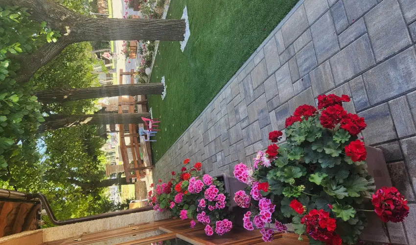 Vrs lom Apartman Panzi Tiszakcske Tiszakcske - Augusztus 20.