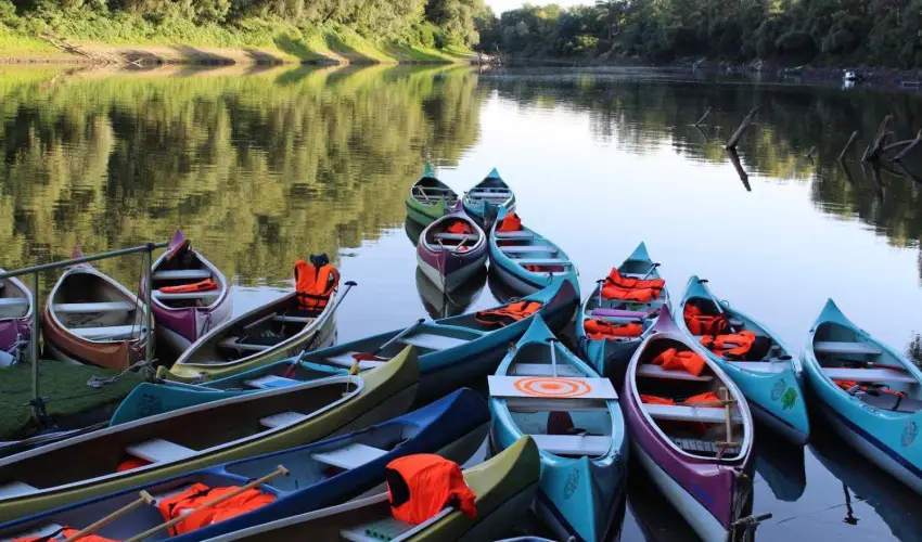 Vrs lom Apartman Panzi Tiszakcske Tiszakcske - Augusztus 20.