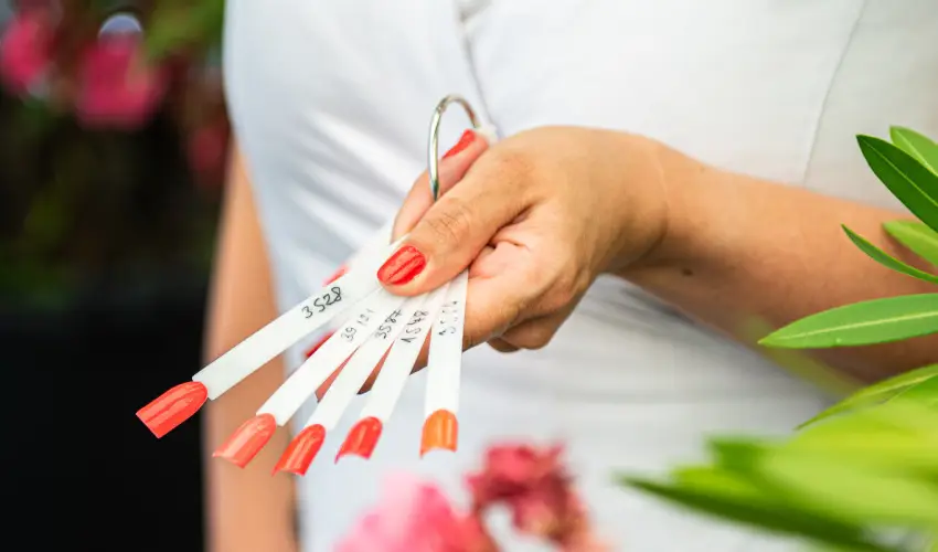 Wabi Hotel Sopron - Augusztus 20.