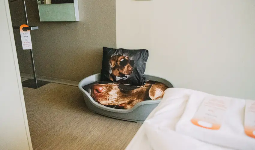 Wabi Hotel Sopron - Augusztus 20.