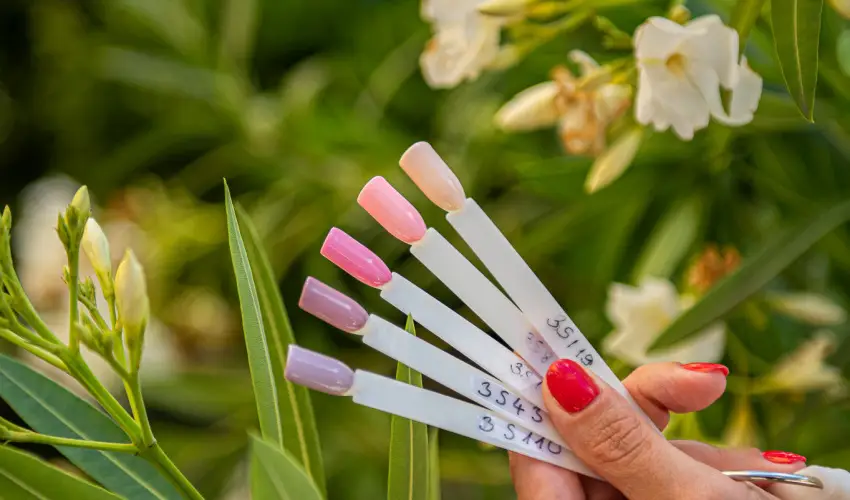 Wabi Hotel Sopron - Augusztus 20.