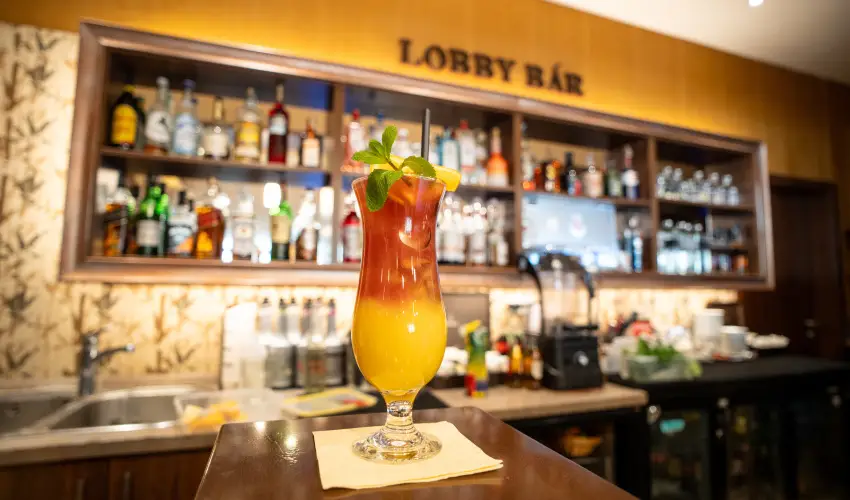 Wellness Hotel Gyula Gyula - Augusztus 20. (min. 2 �j)