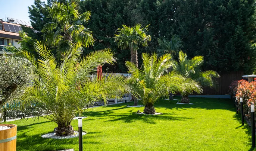 Wellness Hotel Gyula Gyula - Augusztus 20. (min. 2 �j)