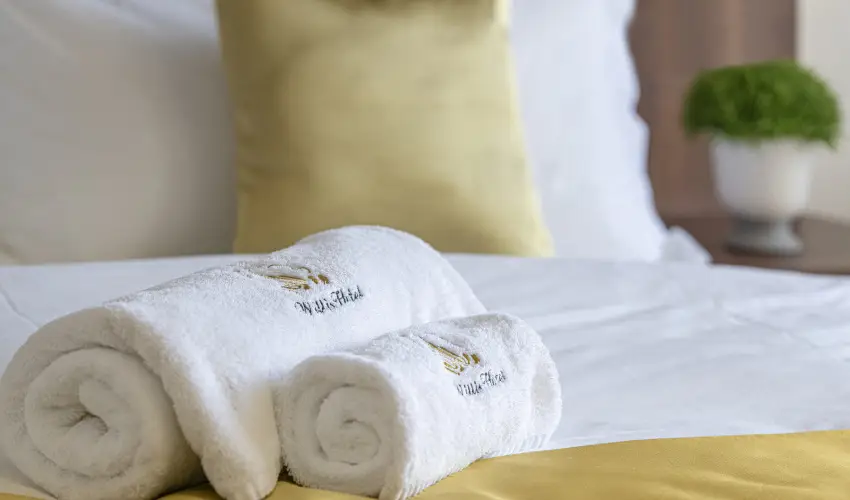 Willis Hotel Business & Wellness Zalaegerszeg - Augusztus 20.