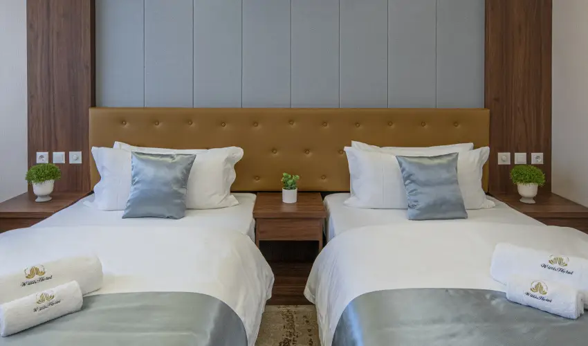 Willis Hotel Business & Wellness Zalaegerszeg - Augusztus 20.