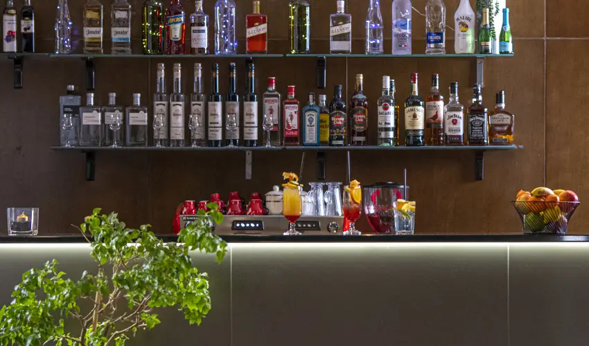 Willis Hotel Business & Wellness Zalaegerszeg - Augusztus 20.