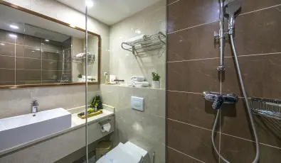 Willis Hotel Business & Wellness Zalaegerszeg