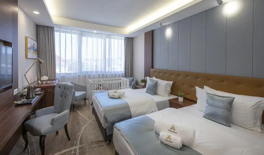 Willis Hotel Business & Wellness Zalaegerszeg - Augusztus 20.