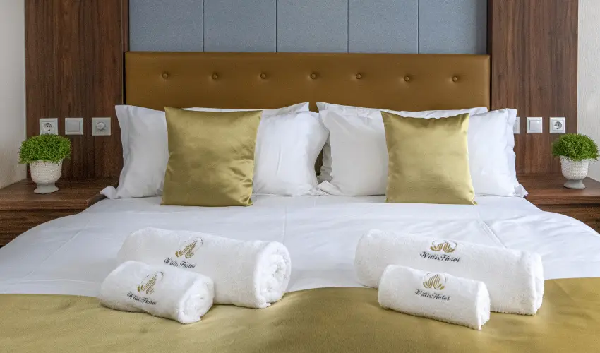 Willis Hotel Business & Wellness Zalaegerszeg - Augusztus 20.