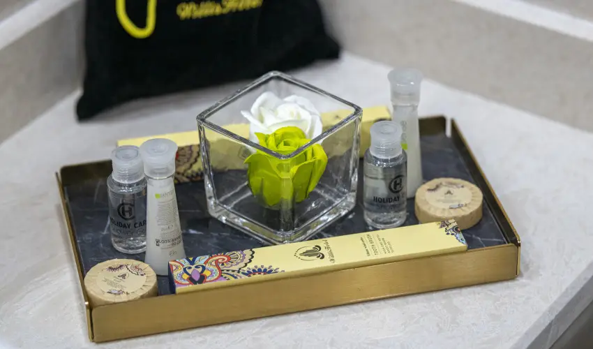 Willis Hotel Business & Wellness Zalaegerszeg - Augusztus 20.