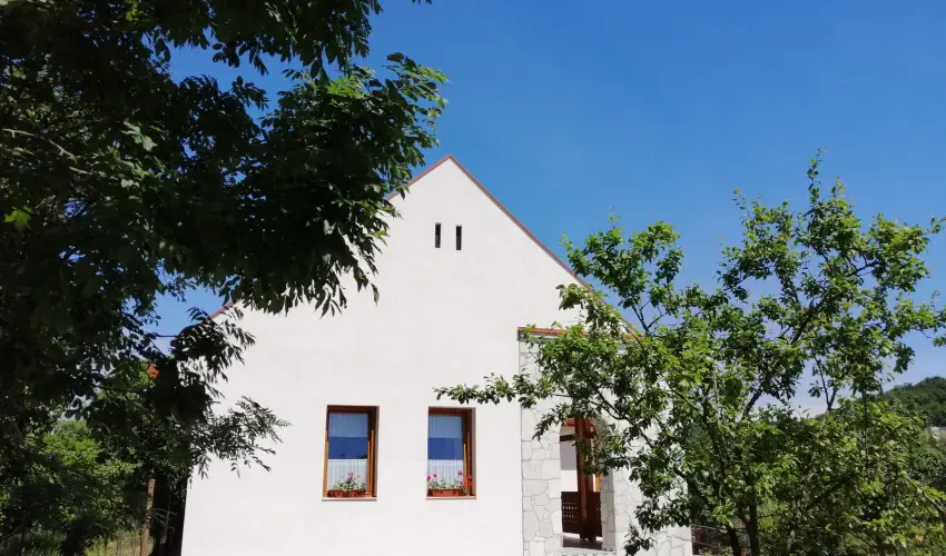 Zempl�ni T�nd�rkert Vend�gh�z F�z�rkoml�s - Augusztus 20. (min. 2 �j)