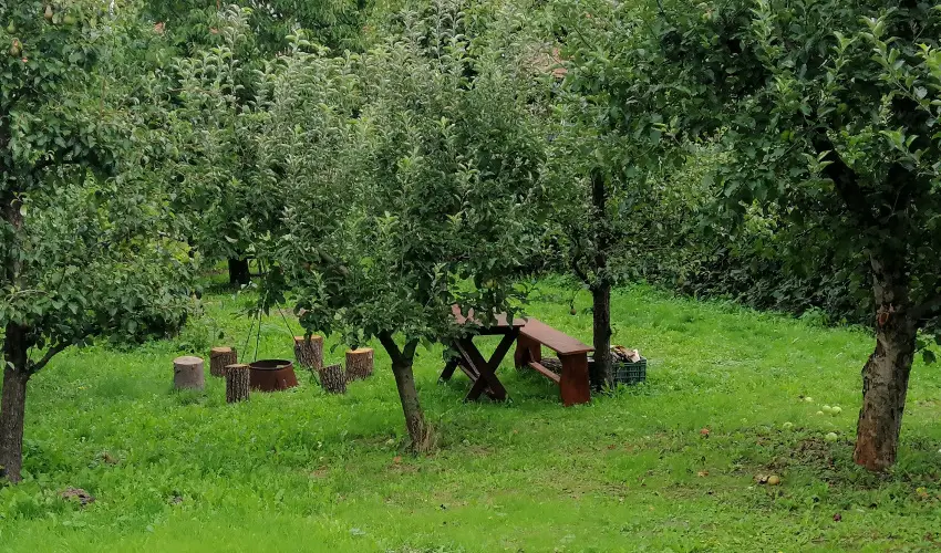 Zempl�ni T�nd�rkert Vend�gh�z F�z�rkoml�s - Augusztus 20. (min. 2 �j)