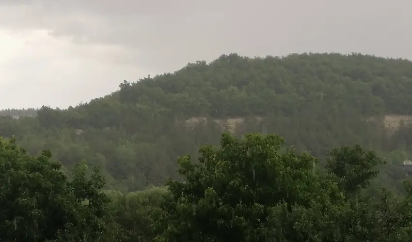 Zempl�ni T�nd�rkert Vend�gh�z F�z�rkoml�s - Augusztus 20. (min. 2 �j)