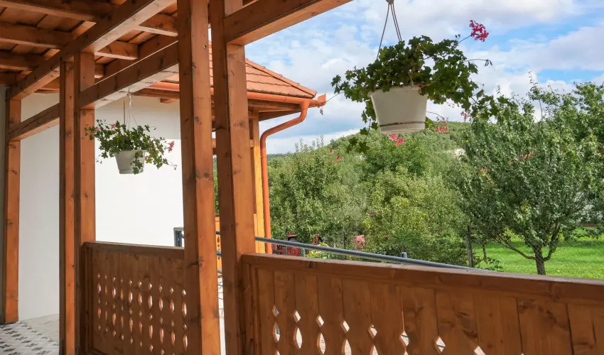 Zempl�ni T�nd�rkert Vend�gh�z F�z�rkoml�s - Augusztus 20. (min. 2 �j)