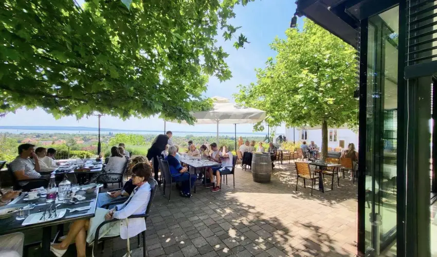 Zenit Hotel Balaton Vonyarcvashegy - Augusztus 20. (min. 2 j)