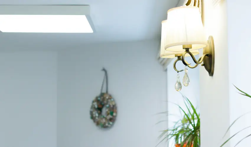 Zenit Panzi� Miskolctapolca - Augusztus 20.