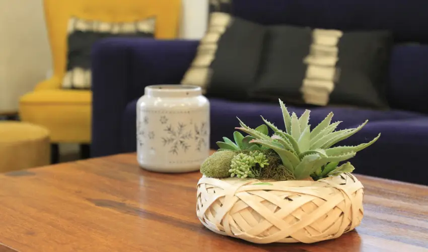 Zenit Panzi� Miskolctapolca - Augusztus 20.