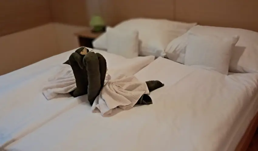 Zldsziget Menedk Rendezvny s Pihenhz Brna - Augusztus 20.