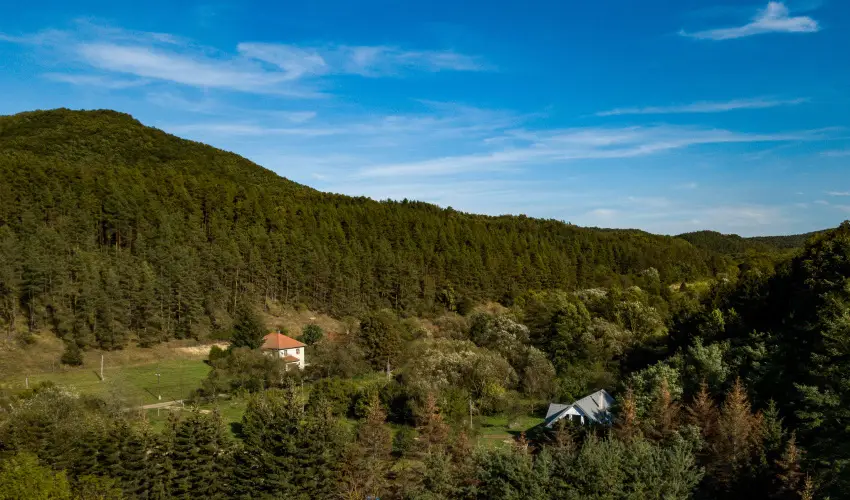 Zldsziget Menedk Rendezvny s Pihenhz Brna - Augusztus 20.