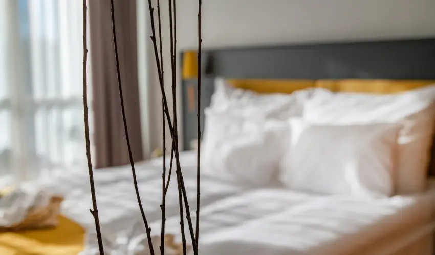 Zsry Liget Hotel & Spa Mezkvesd - Augusztus 20.