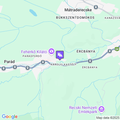 Borka Panzi a trkpen