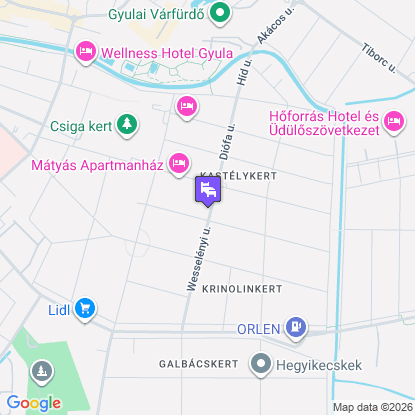 Geszteny�s Vend�gh�z a t�rk�pen