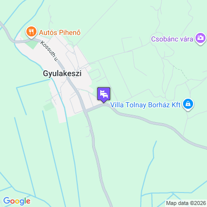 Judit Panzi� a t�rk�pen