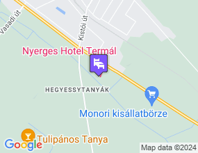 Nyerges Hotel Term�l a t�rk�pen