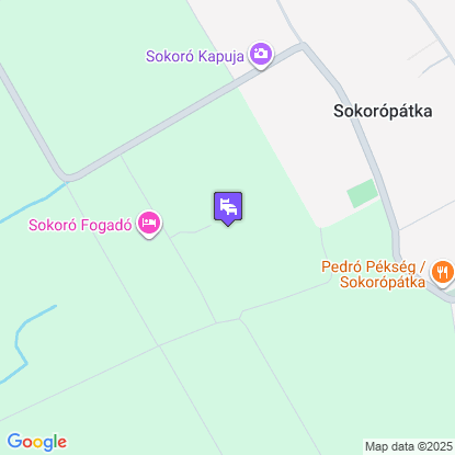 Sokor Fogad a trkpen